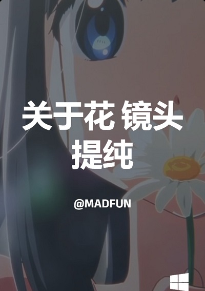 关于花 镜头提纯