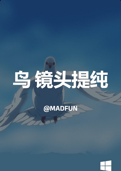 鸟 镜头提纯